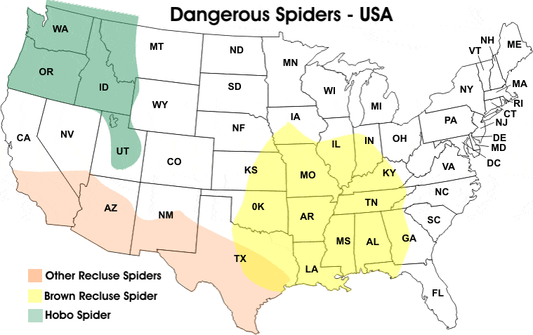 dangerous spiders in the USA map